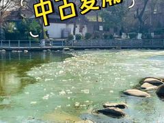 -莲湖公园