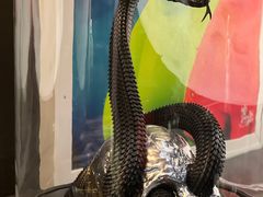 -drivepro(三里屯店)