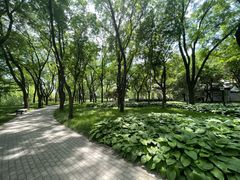 -玲珑塔公园