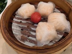 -益健美食大广场(北岭店)
