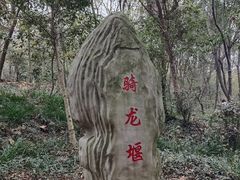 -上海佘山国家森林公园天马山园