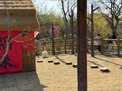 -茅山东方盐湖城景区