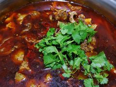酸菜肥肠鱼-郑姐私房菜•家常菜