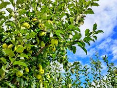 -叠溪松坪沟景区