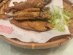 -有腥气私房菜·寻味顺德
