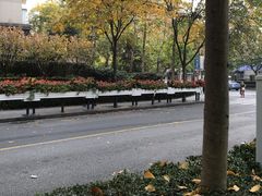 -北京王府井烤鸭(泰兴店)