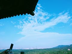 -灵谷景区