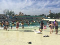 -秦皇岛乐岛海洋王国