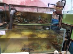 -ZF Seafood Restaurant 卓峰海鲜餐