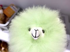 -萌物合辑(新中关购物中心店)