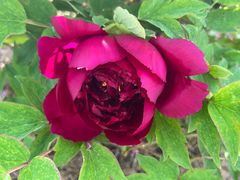 -合肥三国新城遗址公园