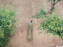 -渔掌门(铁东店)