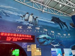 -蓬莱欧乐堡海洋极地世界