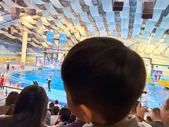 -合肥海洋世界