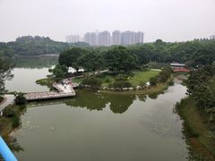 -东莞植物园