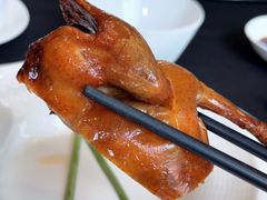 -云门锦翠(商鼎国际店)