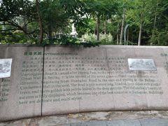-八大关景区