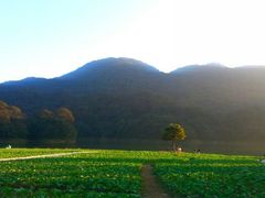 android_upload_pic-广州市石门国家森林公园