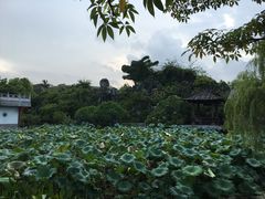 -惠州西湖丰渚园