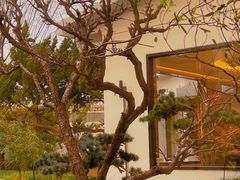 -九献创意菜·牛排馆(亮马河花园店)
