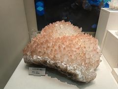 -天津自然博物馆