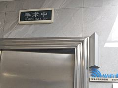 -半岛宠物医院24小时(白果林店)