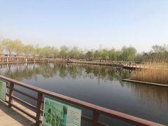 -绿堤公园