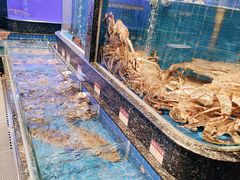 -金悦轩海鲜酒家(南宁店)