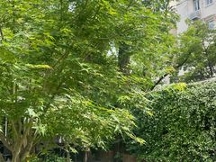 -一尺花园(安和花园店)