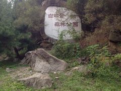 -白水寺森林公园