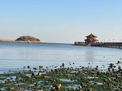 -栈桥景区