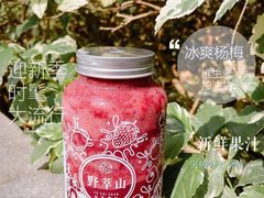 -野萃山·潮汕厚果汁(十亩地店)