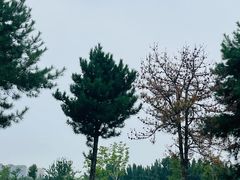 -汉长安城未央宫国家考古遗址公园