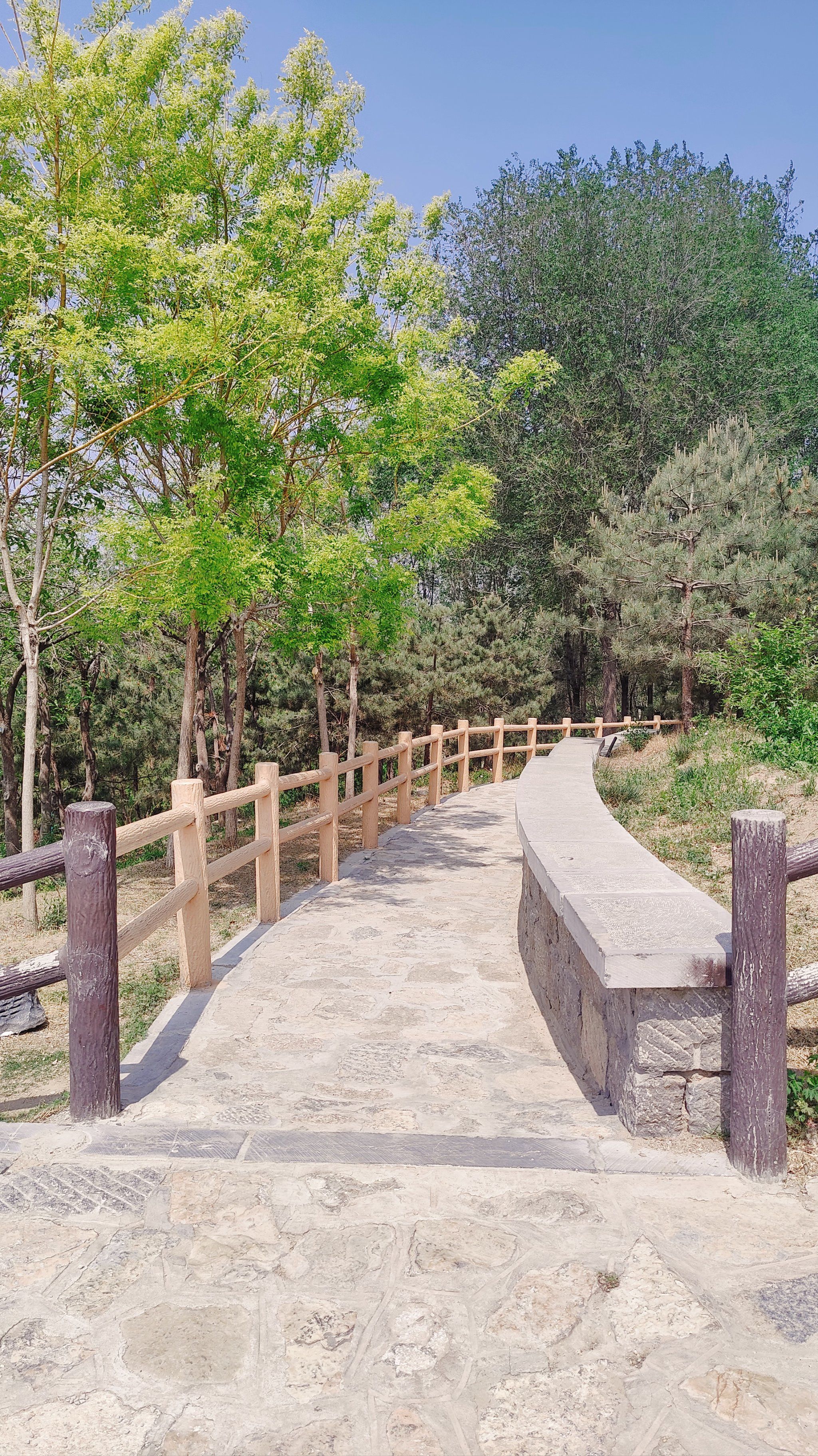 五一快到了,想好去哪里玩了吗,我先去公园走走