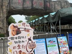 -合肥野生动物园