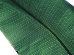 -老屋咖啡