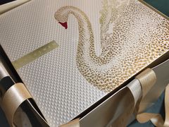 -BLACKSWAN黑天鹅(环球店)