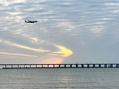 -宝安西湾红树林湿地公园