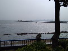 -合肥滨湖国家森林公园