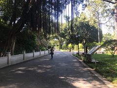 -晓港公园