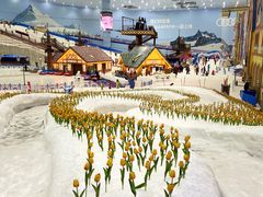 -广州热雪奇迹