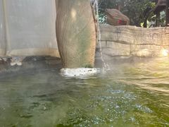 -杭州第一世界大酒店·云曼温泉