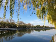 景点-什刹海-后海