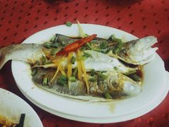 -蛇口康乐快餐鱼仔档(翠苑小区店)