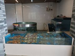 -鲤鱼塘农家山庄