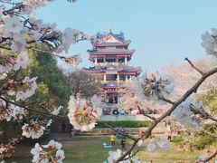 -无锡君来洲际酒店