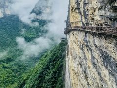 -鹿院坪生态旅游景区