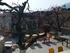 -闻道食府烙饼卷带鱼(原车耳营店原大觉寺店)