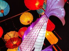 -老门东历史文化街区