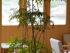 -上席擂茶·新中式青年茶馆(古城店)